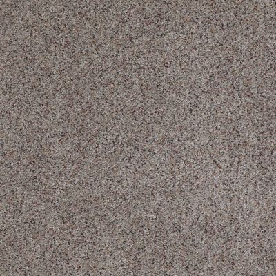 Anderson Tuftex Value Collections Ts354 Stony Ground 0132B_TS354