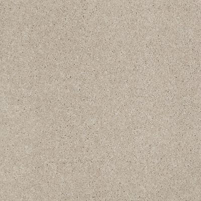 Anderson Tuftex Value Collections Ts362 Tea Biscuit 00121_TS362