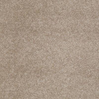 Anderson Tuftex Value Collections Ts362 Latte 00172_TS362