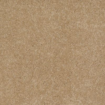 Anderson Tuftex Value Collections Ts362 Honeycomb 00223_TS362