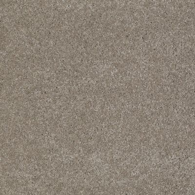 Anderson Tuftex Value Collections Ts362 Flagstone 00552_TS362