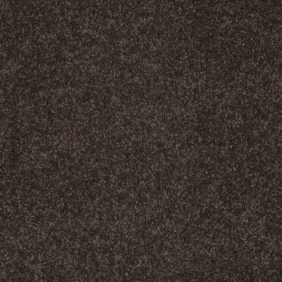 Anderson Tuftex Value Collections Ts362 Cocoa Bean 00778_TS362