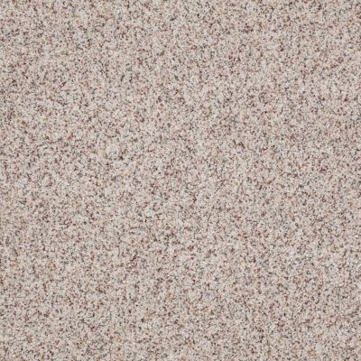 Anderson Tuftex Value Collections Ts362 Crushed Pearl 0212B_TS362