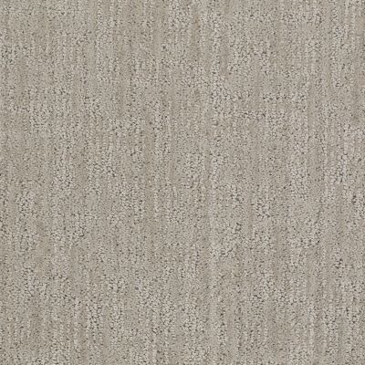 Anderson Tuftex Value Collections Ts366 Gray Dust 00522_TS366