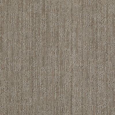 Anderson Tuftex Value Collections Ts366 Demure Taupe 00573_TS366