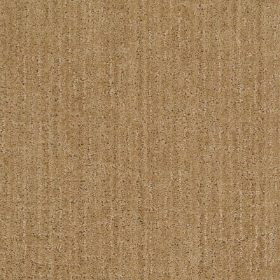Anderson Tuftex Value Collections Ts367 Tigress 00235_TS367