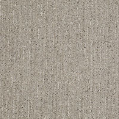 Anderson Tuftex Value Collections Ts367 Gray Dust 00522_TS367