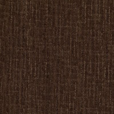Anderson Tuftex Value Collections Ts367 Truffle 00738_TS367