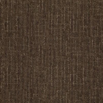 Anderson Tuftex Value Collections Ts367 Malted Crunch 00758_TS367