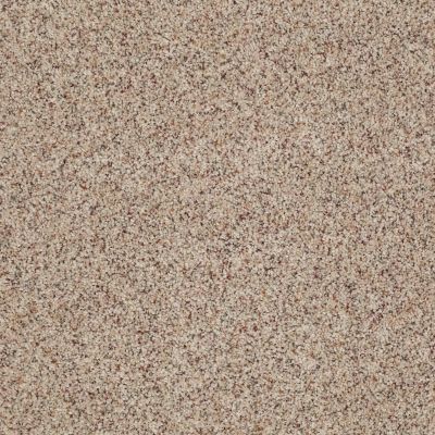 Anderson Tuftex Value Collections Ts414 Terrazzo 0213B_TS414