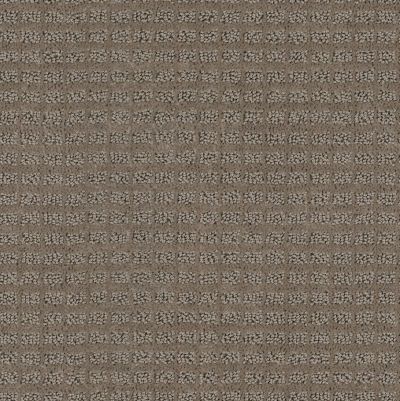 Anderson Tuftex Value Collections Ts439 Stone Path 00572_TS439