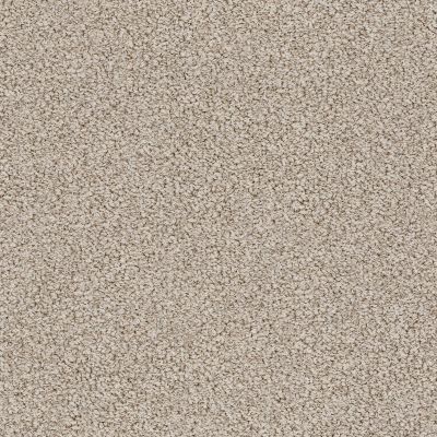 Anderson Tuftex Value Collections Ts448 Stucco Tan 00175_TS448