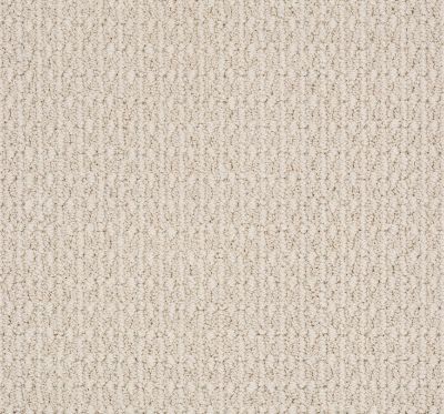 Anderson Tuftex Value Collections Ts456 Soft Ivory 00211_TS456