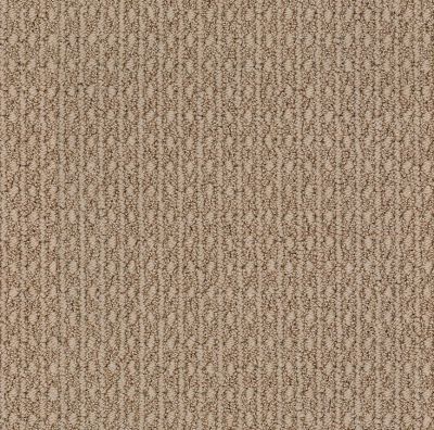 Anderson Tuftex Value Collections Ts456 Desert Suede 00274_TS456