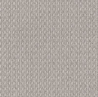 Anderson Tuftex Value Collections Ts456 Foggy Haze 00552_TS456