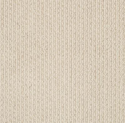 Anderson Tuftex Value Collections Ts474 Brushed Ivory 00111_TS474