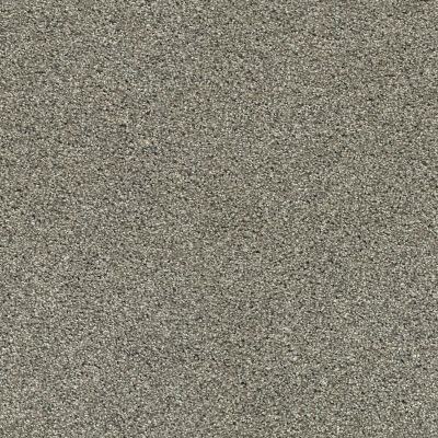 Anderson Tuftex Value Collections Ts475 City Gray 00558_TS475