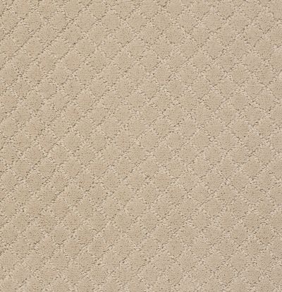 Anderson Tuftex Value Collections Ts513 Toffee Cream 00183_TS513
