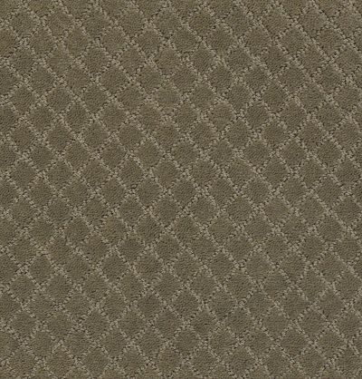 Anderson Tuftex Value Collections Ts513 Dry Sage 00536_TS513