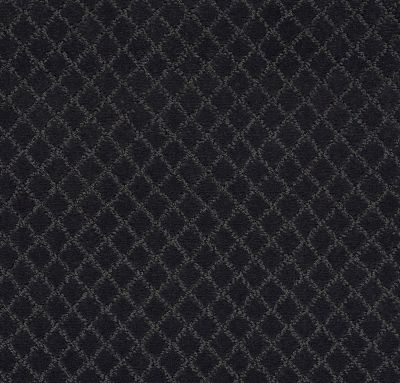 Anderson Tuftex Value Collections Ts513 Night Shade 00558_TS513