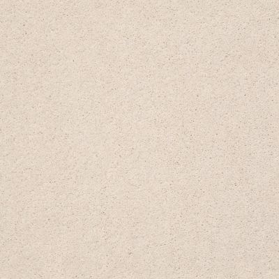 Anderson Tuftex Pet Perfect Ts516 Barely Beige 00111_TS516
