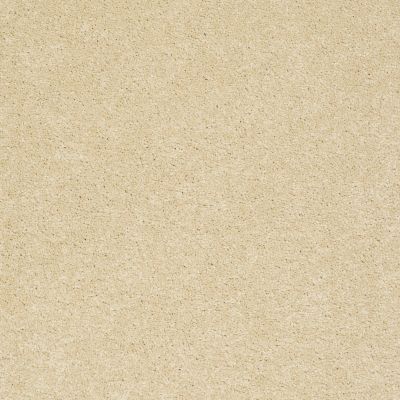 Anderson Tuftex Pet Perfect Ts516 Cork 00223_TS516