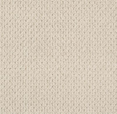 Anderson Tuftex Value Collections Ts517 Natural 00113_TS517