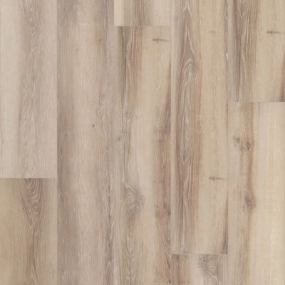 Shaw Floors Resilient Property Solutions Unrivaled 9″ Watford Oak 02909_678CT