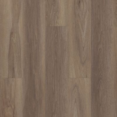 Shaw Floors Resilient Residential Paragon 7″ Plus Wire Walnut 07040_1020V