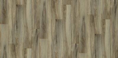 Shaw Floors Resilient Residential Urban Woodlands 65g Brentwood 00234_VG088