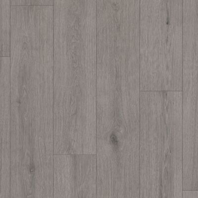 Shaw Floors Challenger 13.6 Fireside Ash 05242_C2235