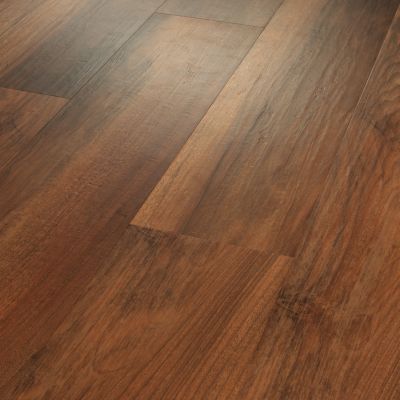 Shaw Floors Resilient Residential Paramount 512c Plus Amber Oak 00820_509SA