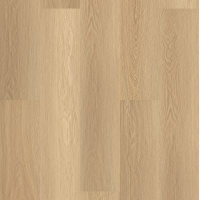 Shaw Floors Resilient Residential Paramount 512c Plus Castaway 07087_509SA