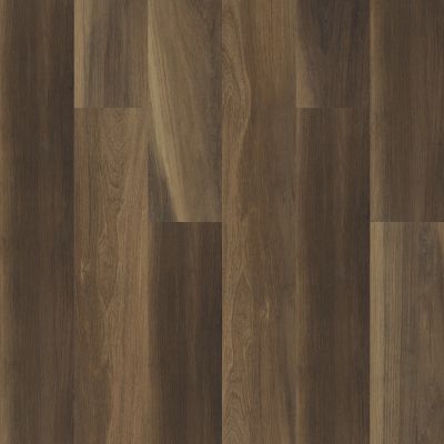 Shaw Floors Resilient Residential Cathedral Oak 720c Plus Ravine Oak 00798_0866V