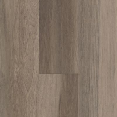 Shaw Floors Resilient Residential Cathedral Oak 720c Plus Chestnut Oak 05010_0866V