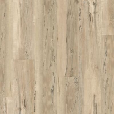 Shaw Floors 5th And Main Synthesis Fusion 00297_5M305