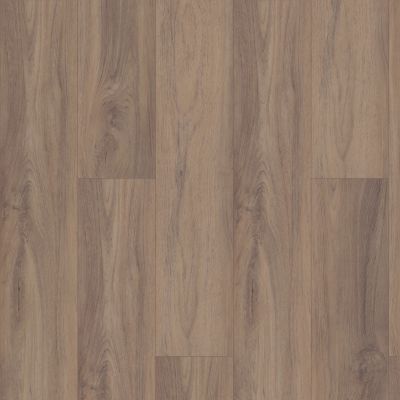 Shaw Floors Resilient Residential Pantheon HD Plus Fiano 00587_2001V
