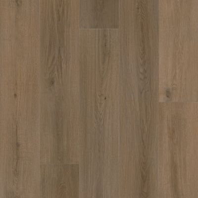 Shaw Floors Resilient Residential Paw-some Bark Chocolate 07324_3341V