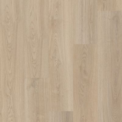 Shaw Floors Resilient Residential Distinction Plus French Oak 00257_2045V