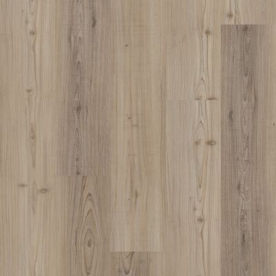 Shaw Floors Resilient Property Solutions Prominence Plus Light Pine 07064_VE381