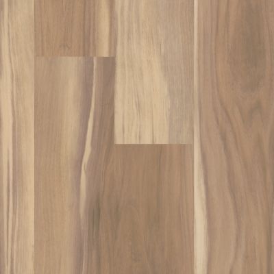 Shaw Floors Resilient Residential Tenacious Hd+ Accent Sunbaked 02010_3011V
