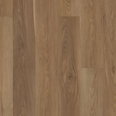 Shaw Floors Resilient Residential Pantheon Hd+ Natural Bevel Olive Tree 06013_1051V