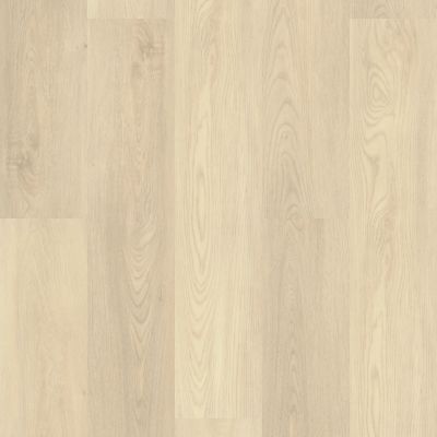 Shaw Floors Resilient Residential Paladin Plus Silver Dollar 01055_0278V