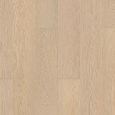 Shaw Builder Flooring Clayton Homes Heardsville Plus Oceanfront 02012_C310Y