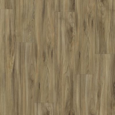 Shaw Builder Flooring Ashton Woods Homes Haynes Plus Whispering Wood 00405_A829S