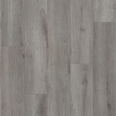 Shaw Floors Resilient Property Solutions Homeward Tempest Grey 05239_2896V