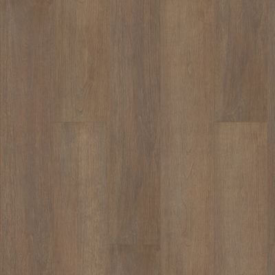 Shaw Floors Resilient Residential Paragon Hd+natural Bevel Gable 07239_3038V