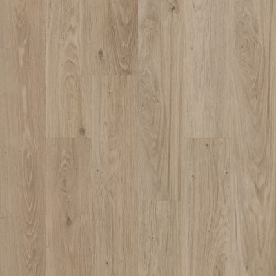 Shaw Floors Resilient Residential Praxis Plank Expose 02045_3039V