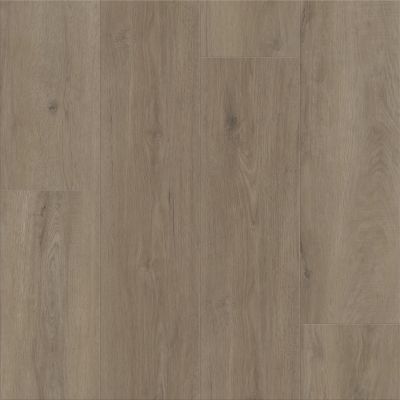 Shaw Floors Resilient Residential Dwell Truffle 05235_3080V