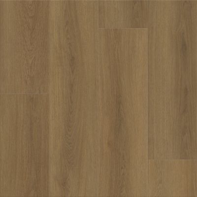 Shaw Floors Resilient Residential Dwell Rich Cocoa 07328_3080V